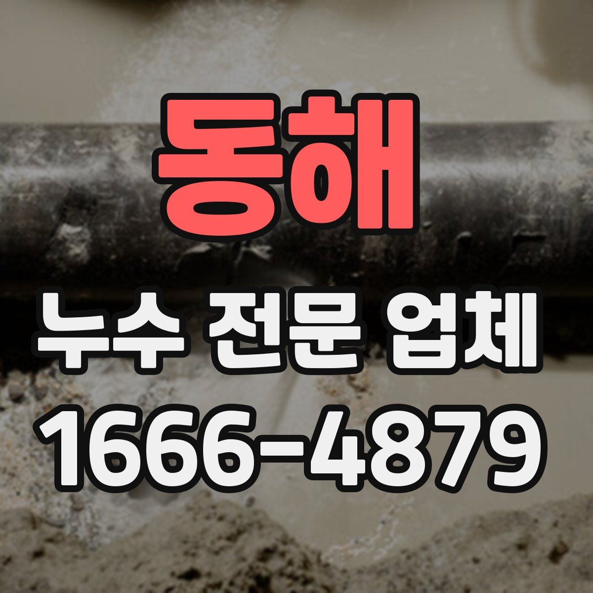 동해 누수 전문 업체