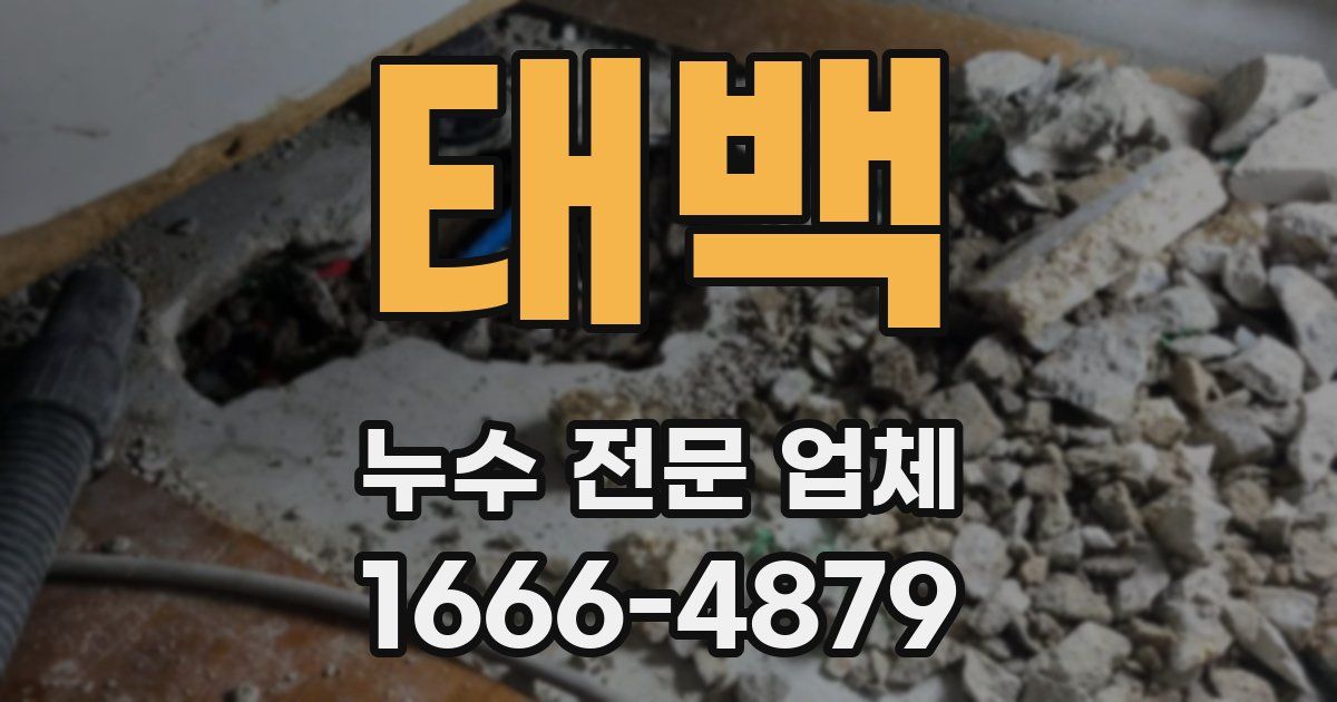 태백 누수 전문 업체