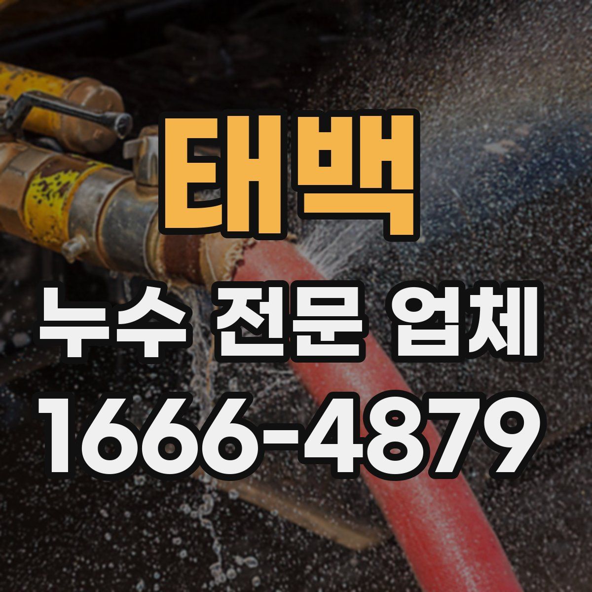 태백 누수 전문 업체