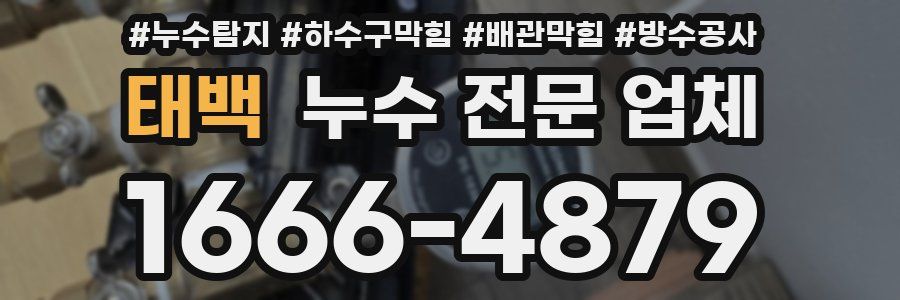 태백 누수 전문 업체