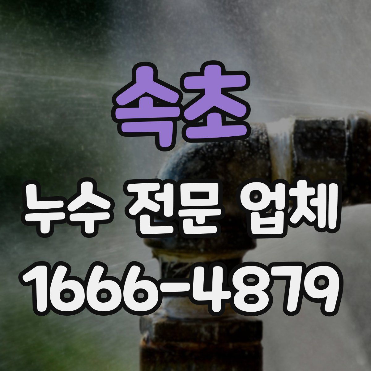 속초 누수 전문 업체