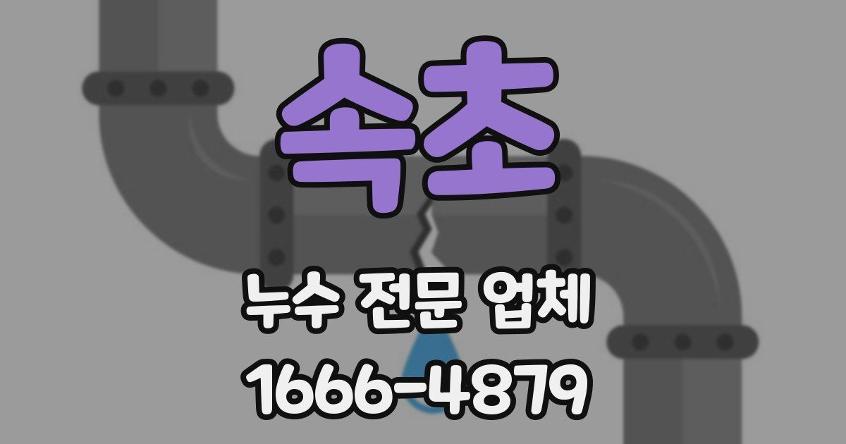 속초 누수 전문 업체