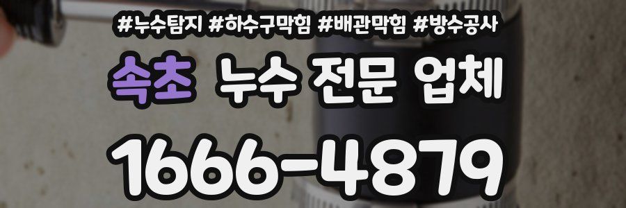 속초 누수 전문 업체