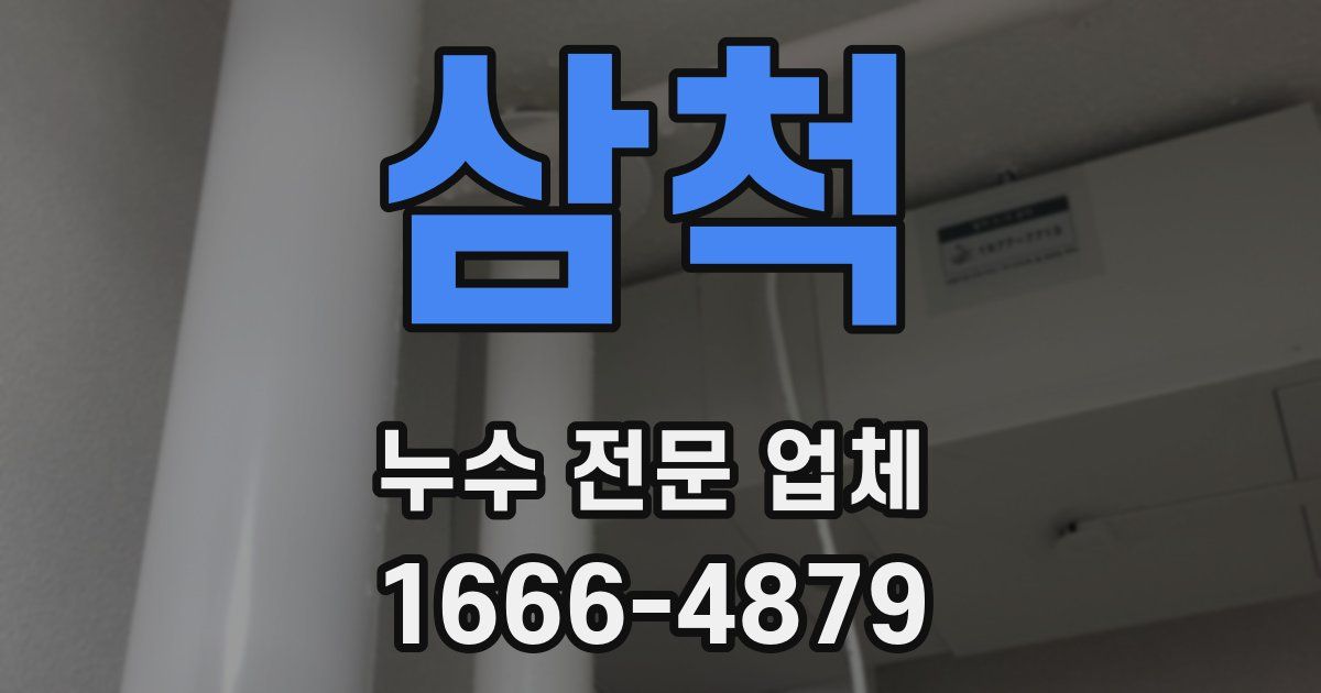 삼척 누수 전문 업체