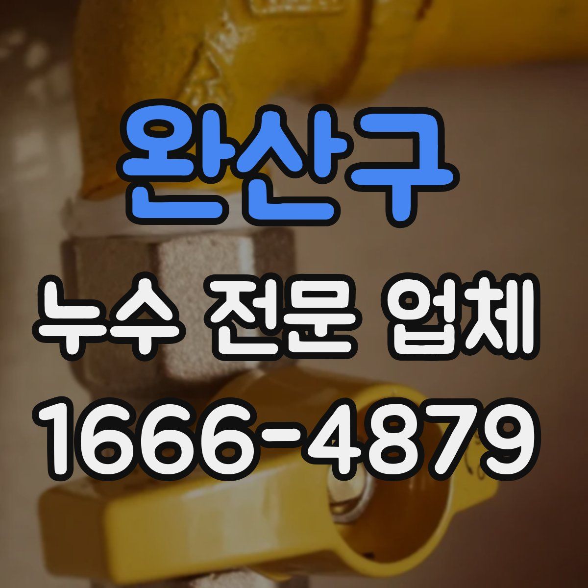 완산구 누수 전문 업체