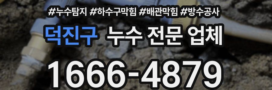 덕진구 누수 전문 업체