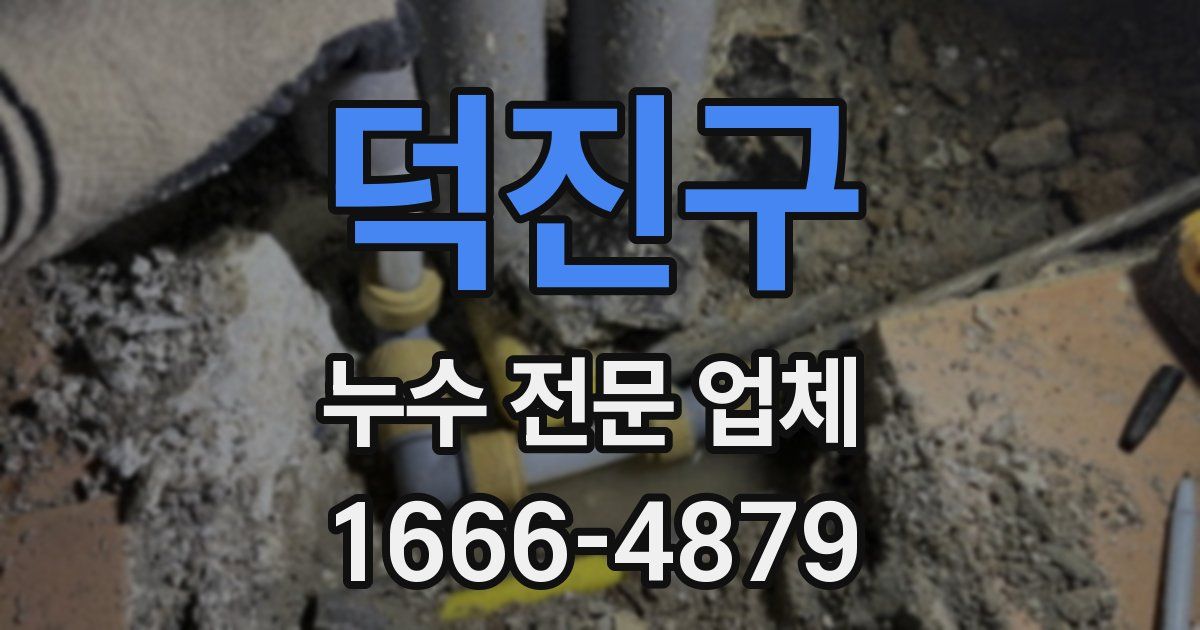 덕진구 누수 전문 업체