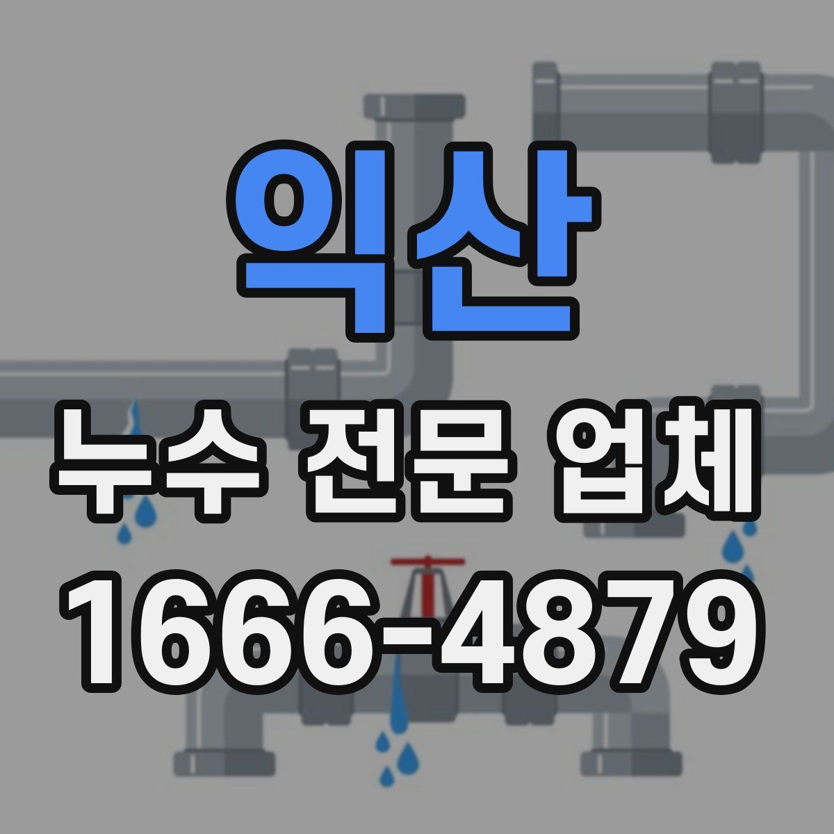 익산 누수 전문 업체