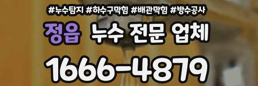 정읍 누수 전문 업체