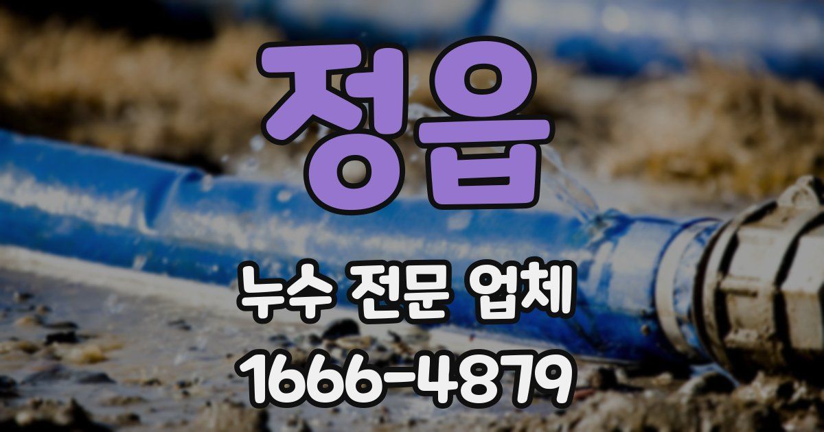 정읍 누수 전문 업체