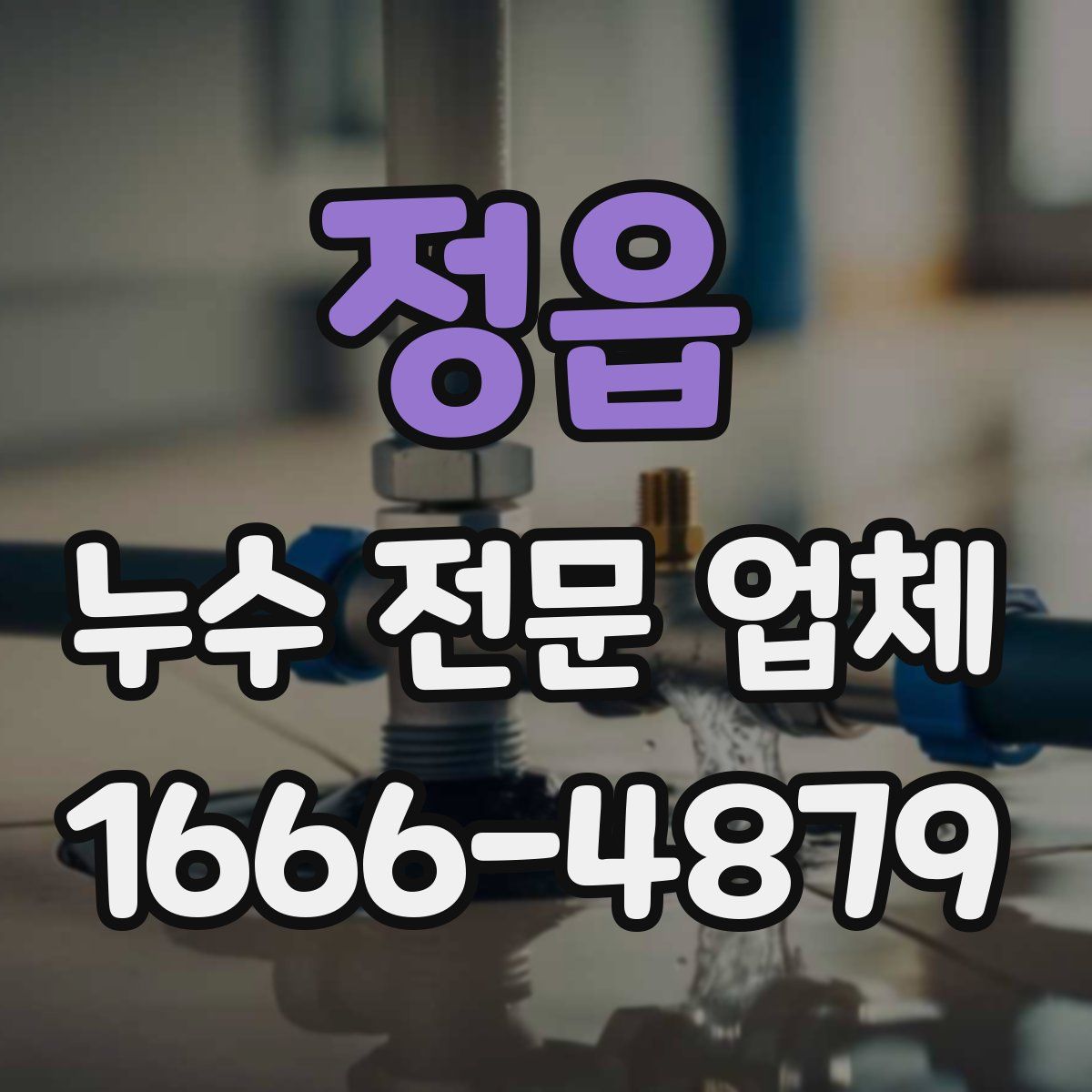 정읍 누수 전문 업체