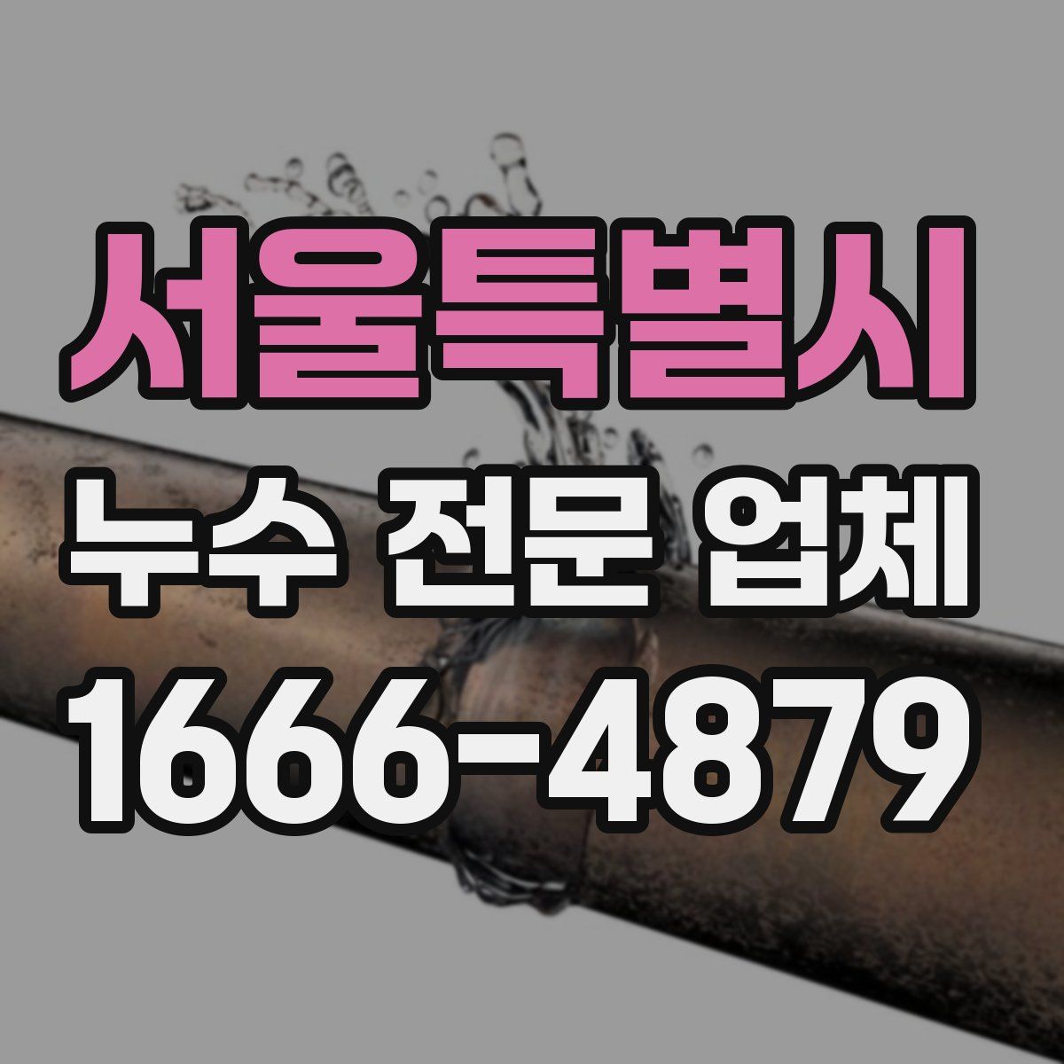서울특별시 누수 전문 업체