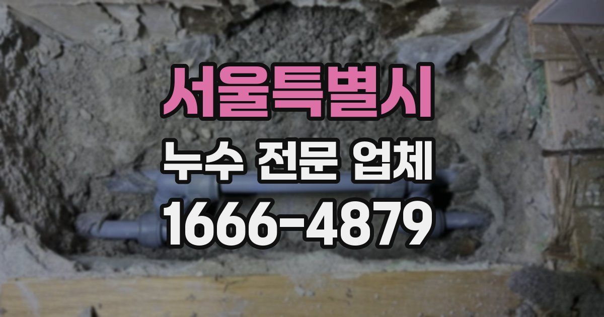 서울특별시 누수 전문 업체