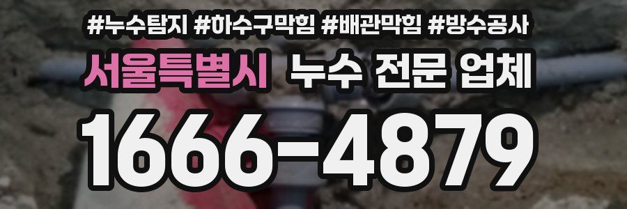 서울특별시 누수 전문 업체