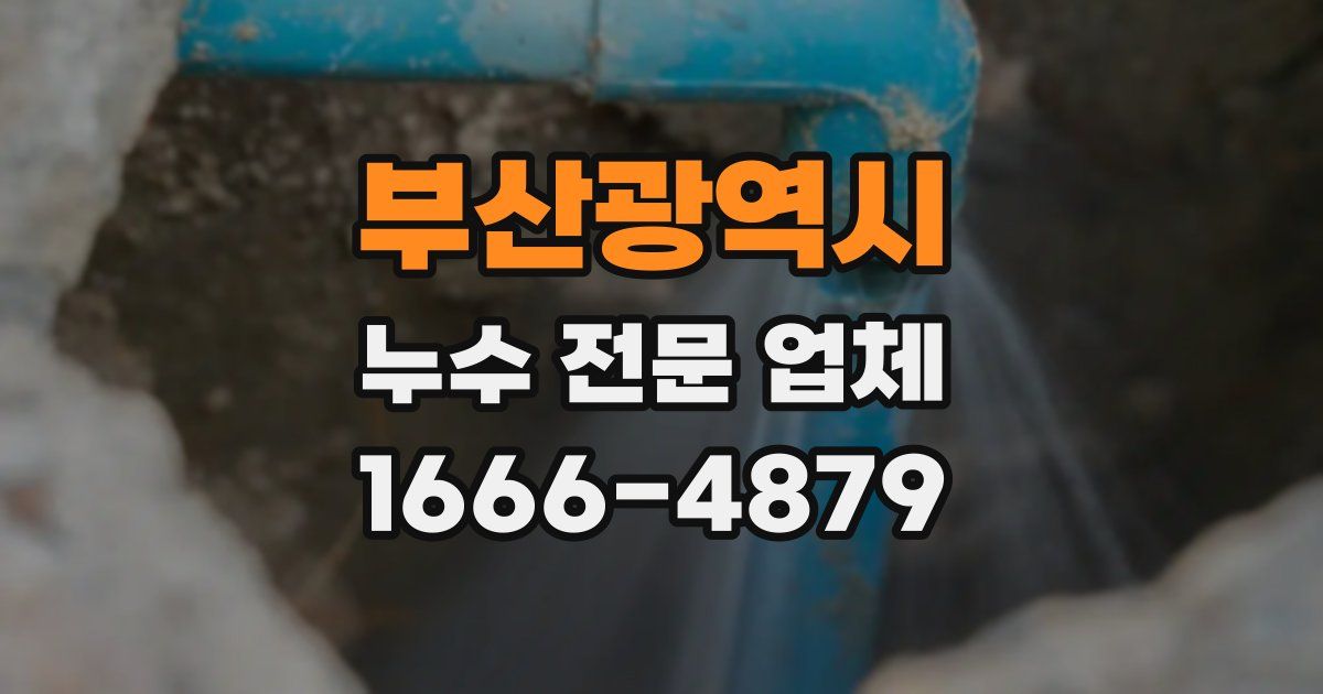 부산광역시 누수 전문 업체