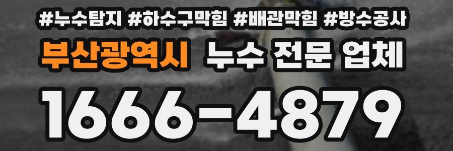 부산광역시 누수 전문 업체