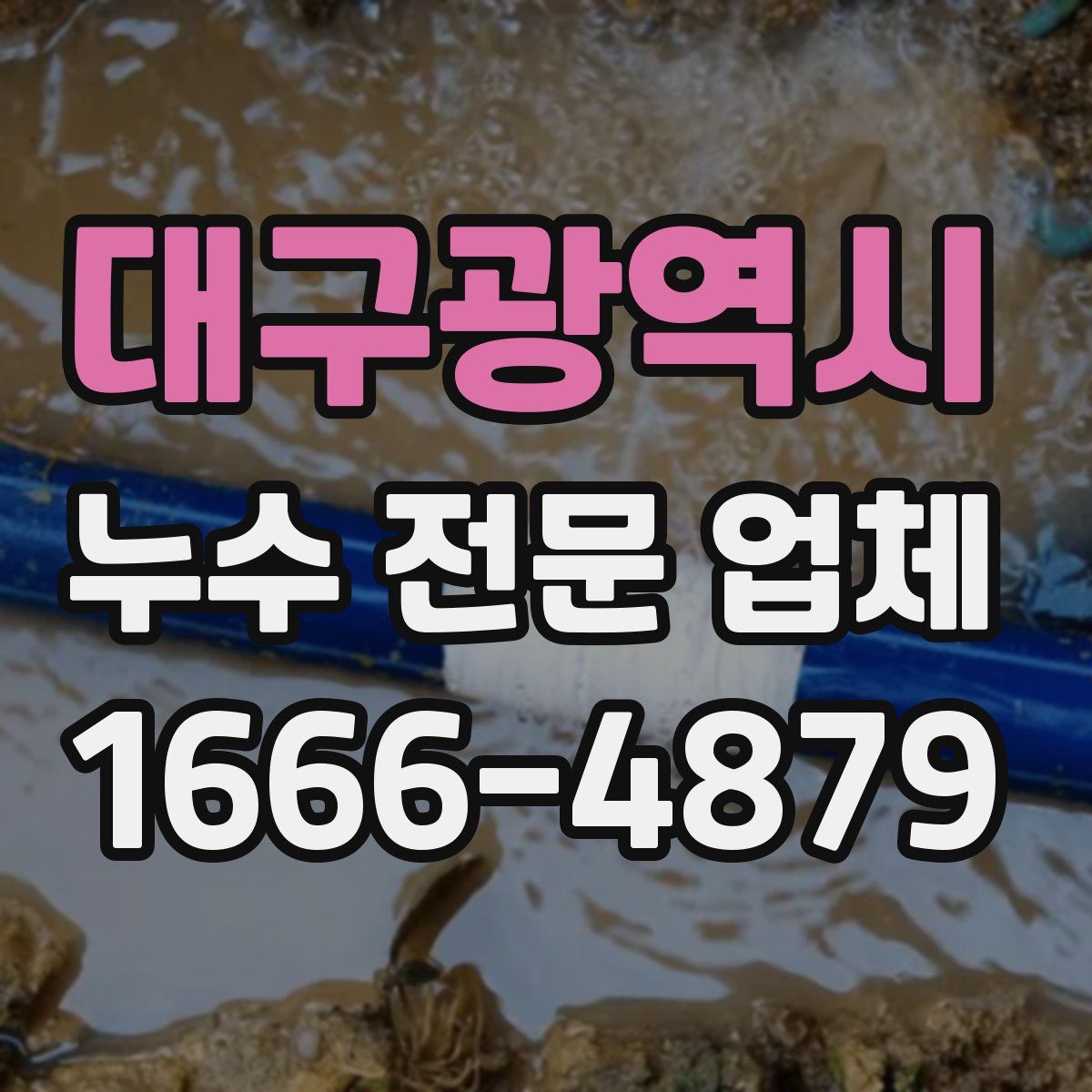 대구광역시 누수 전문 업체
