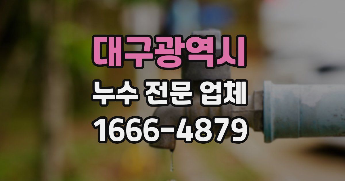 대구광역시 누수 전문 업체