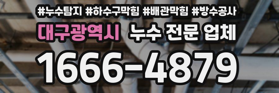 대구광역시 누수 전문 업체