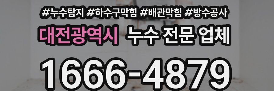 대전광역시 누수 전문 업체