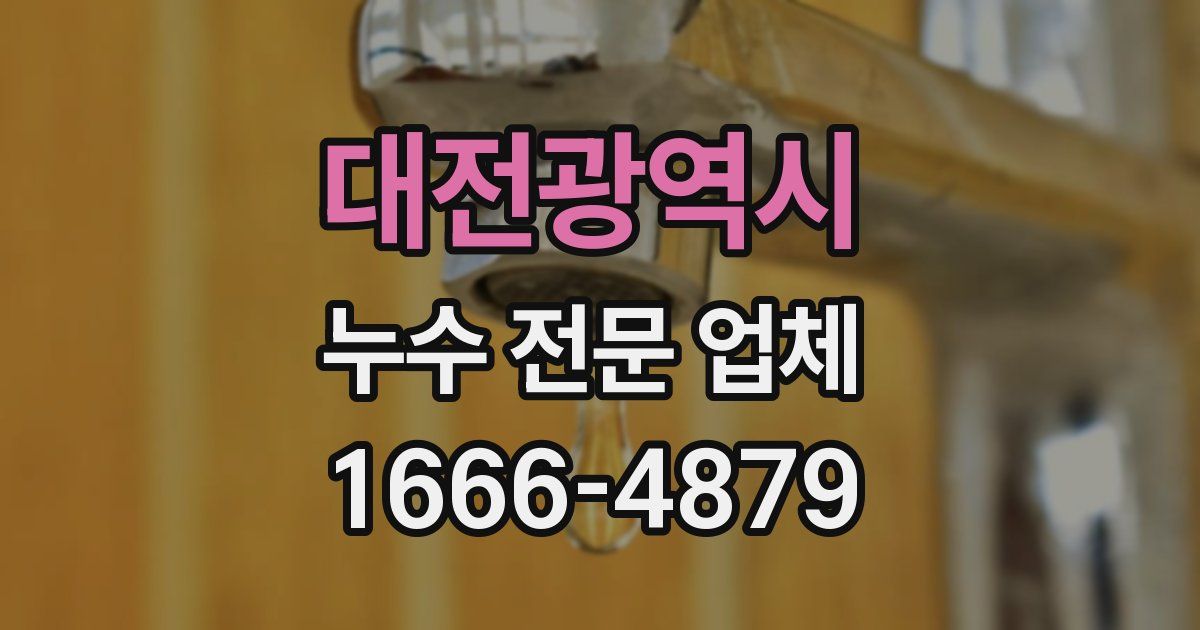 대전광역시 누수 전문 업체