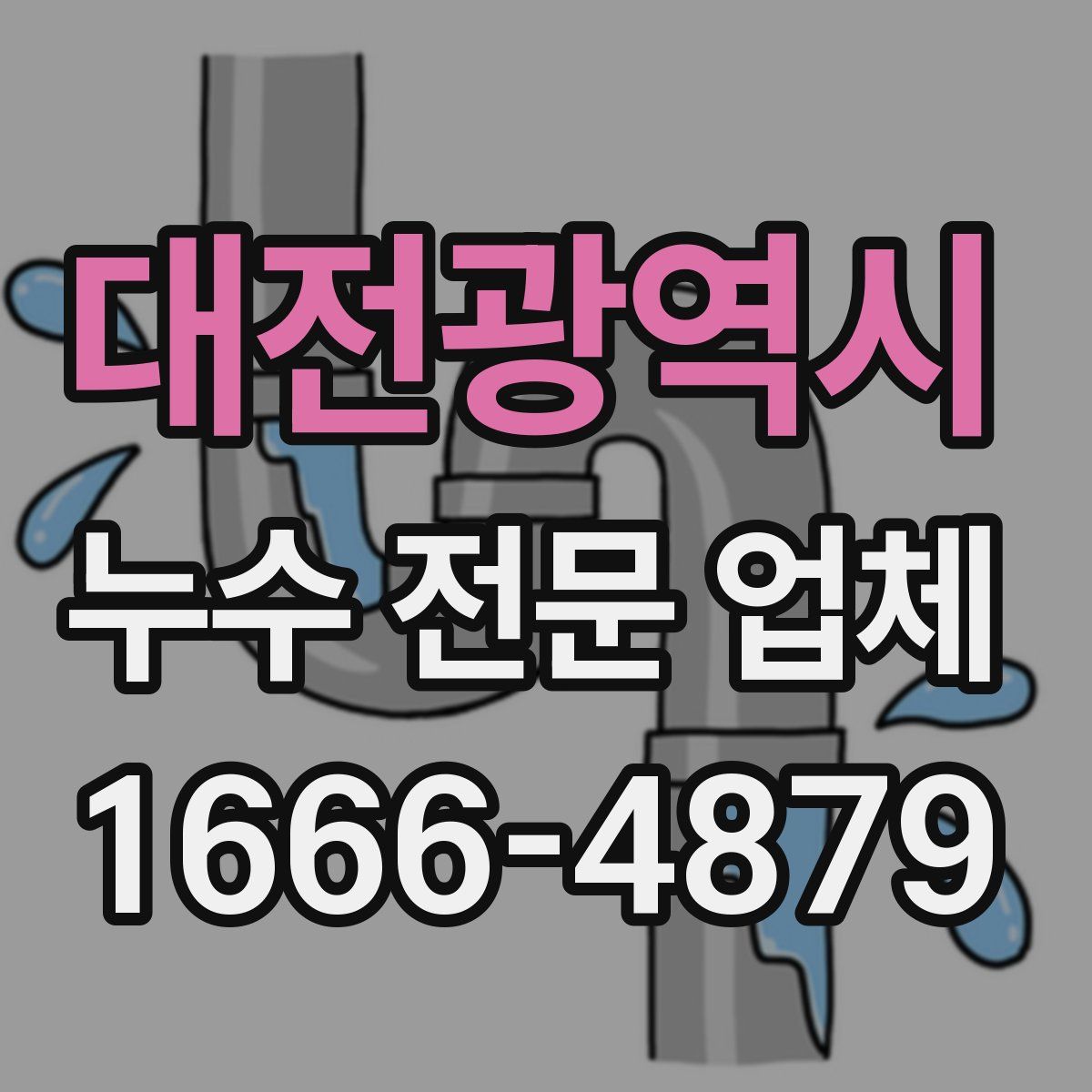 대전광역시 누수 전문 업체