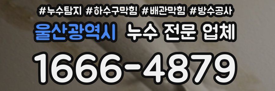 울산광역시 누수 전문 업체