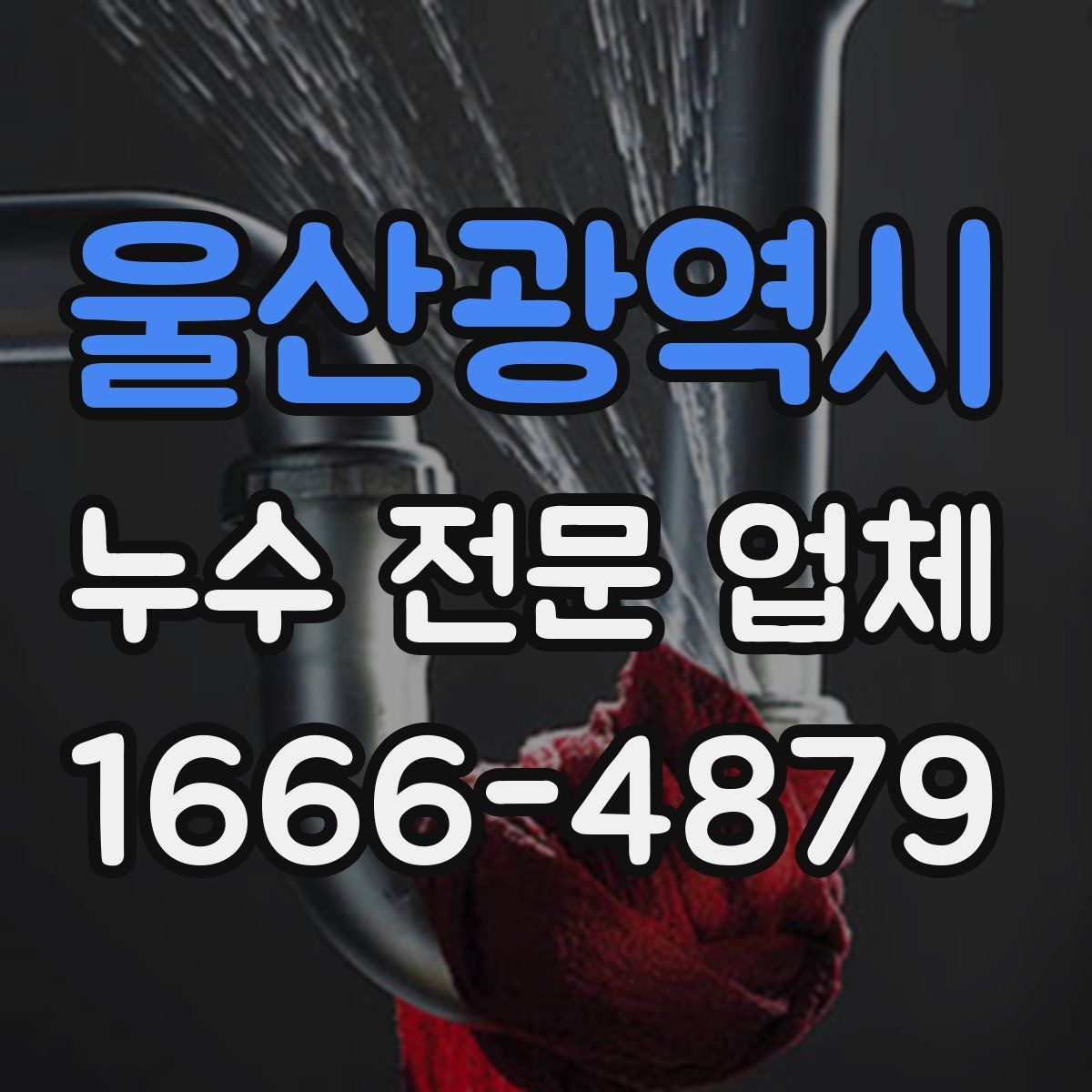 울산광역시 누수 전문 업체