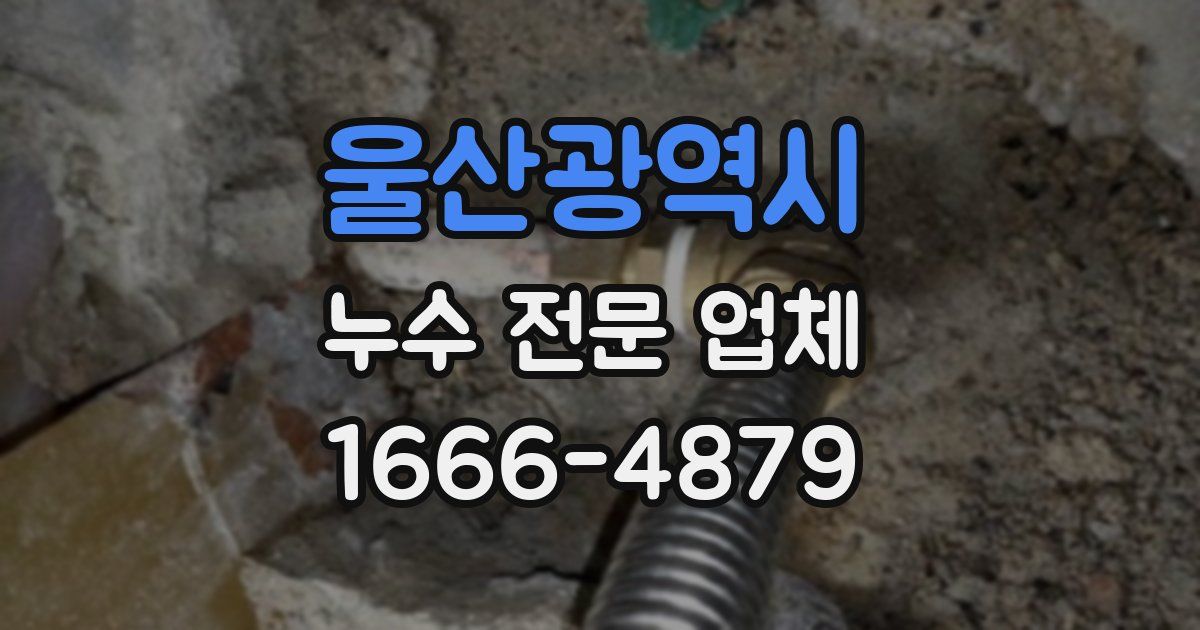 울산광역시 누수 전문 업체