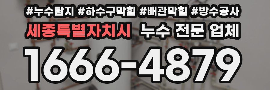 세종특별자치시 누수 전문 업체