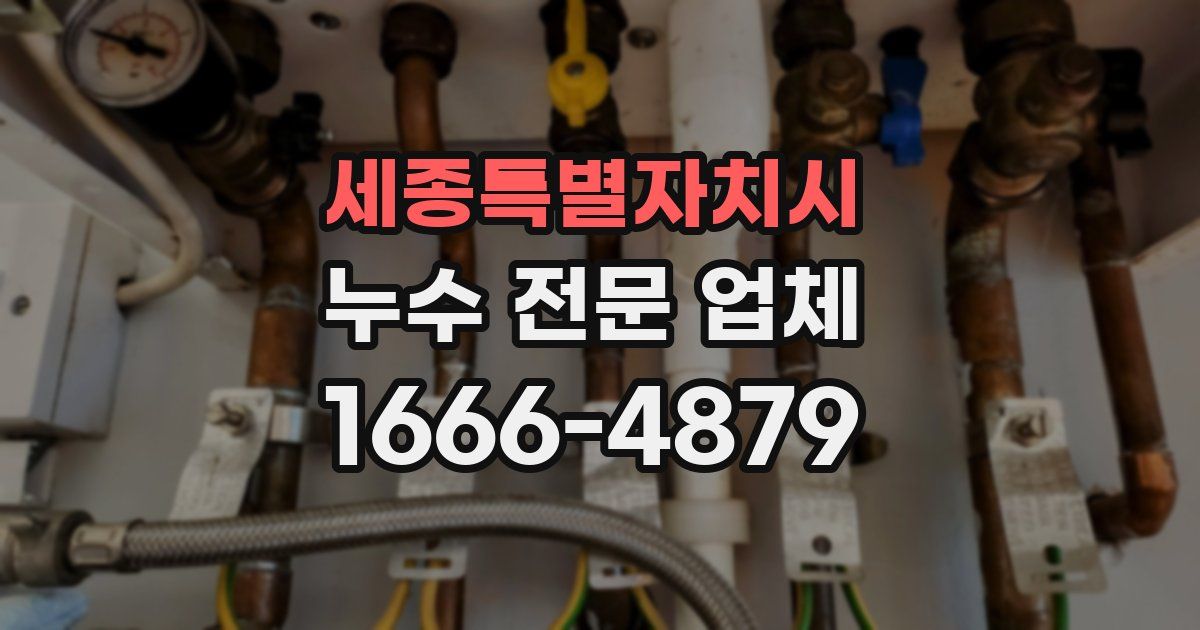 세종특별자치시 누수 전문 업체