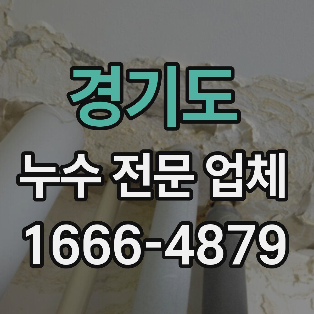 경기도 누수 전문 업체