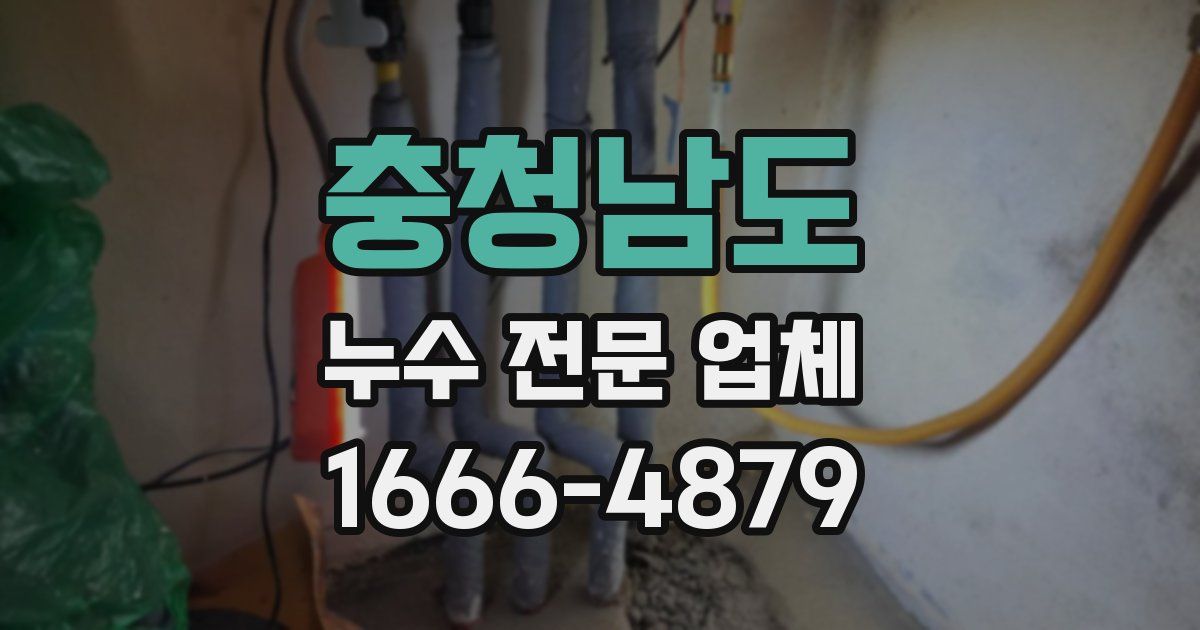 충청남도 누수 전문 업체