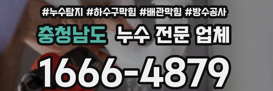 충청남도 누수 전문 업체