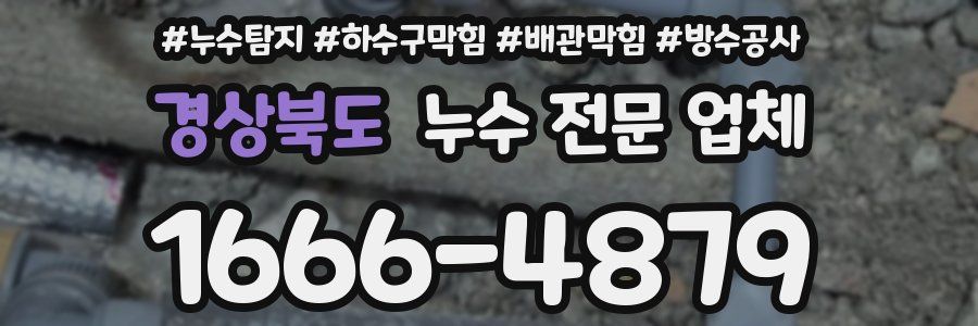경상북도 누수 전문 업체