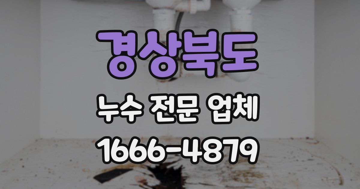 경상북도 누수 전문 업체