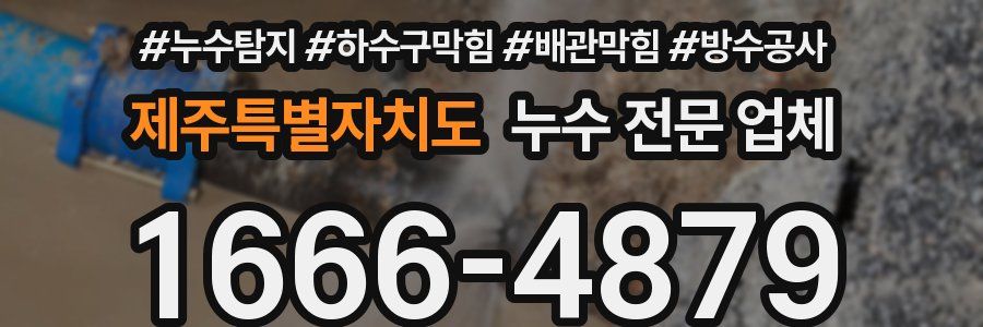제주특별자치도 누수 전문 업체