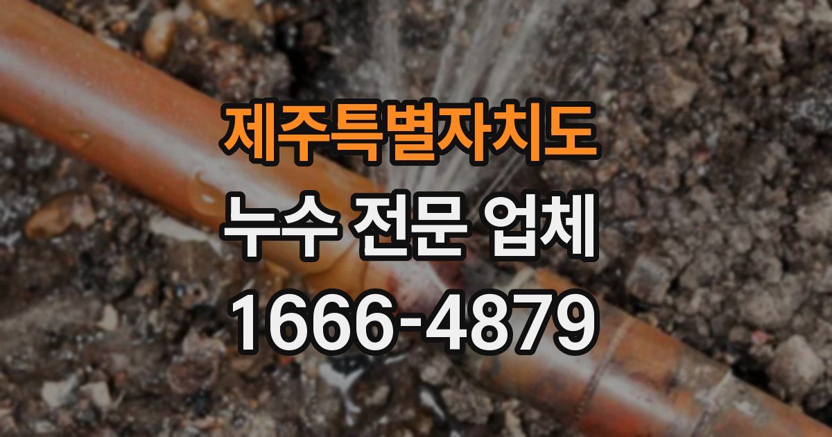 제주특별자치도 누수 전문 업체
