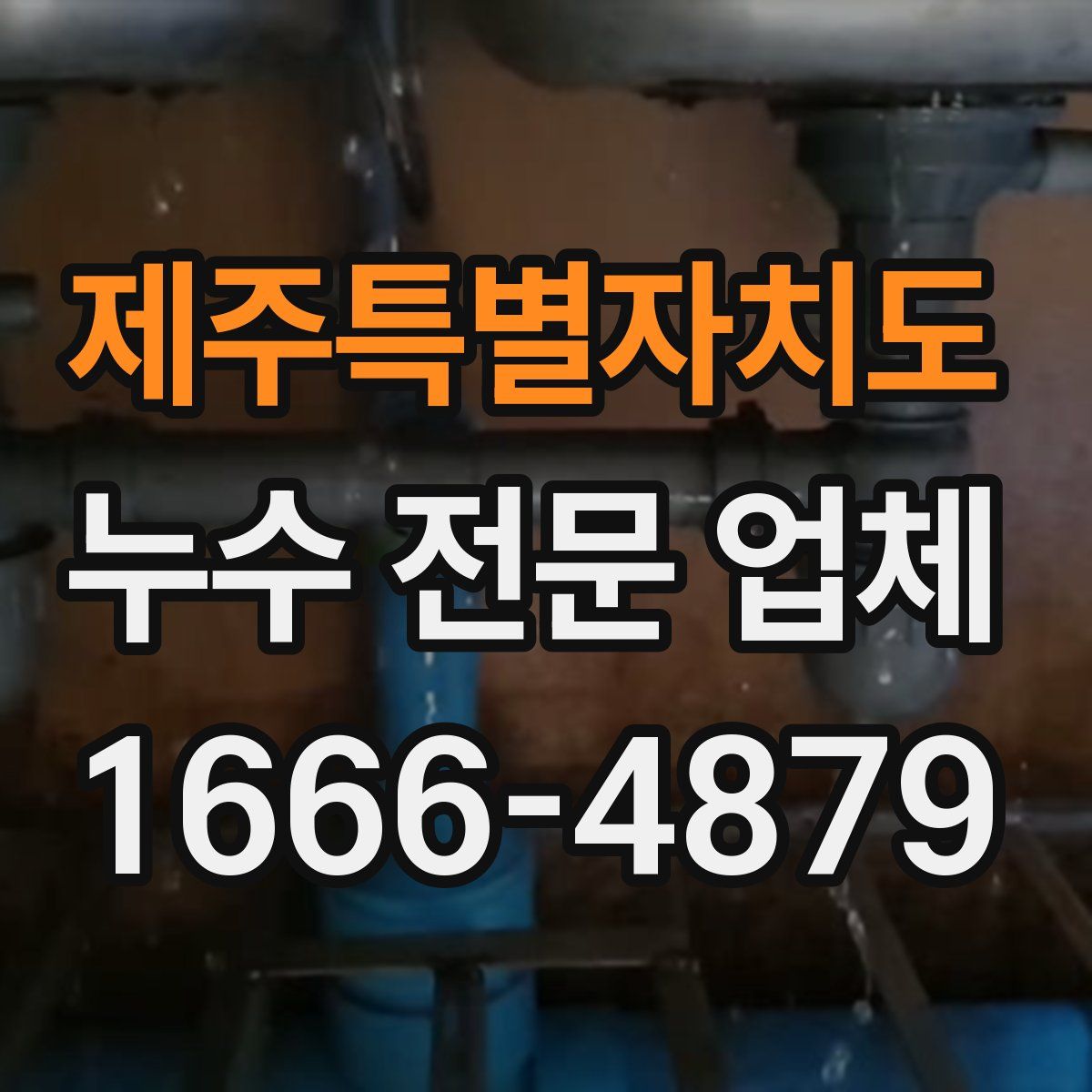 제주특별자치도 누수 전문 업체