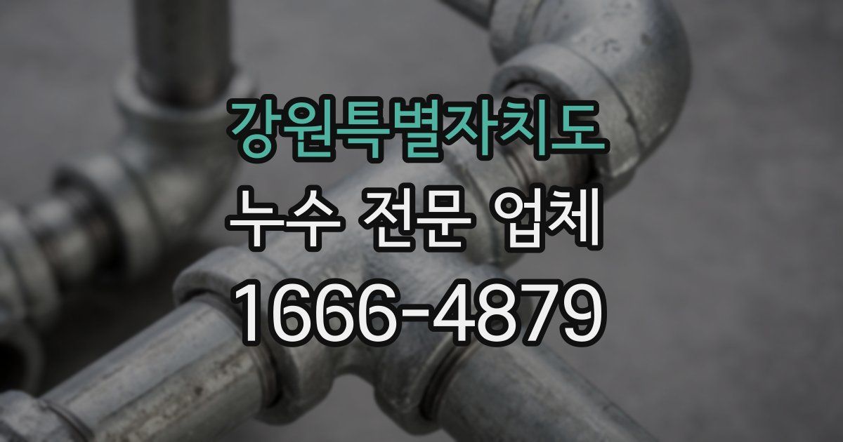 강원특별자치도 누수 전문 업체