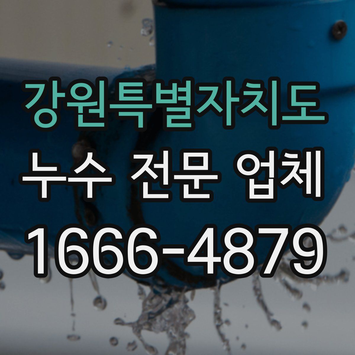 강원특별자치도 누수 전문 업체