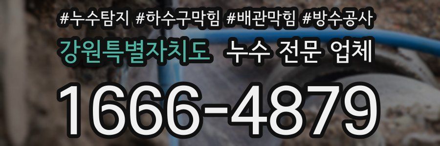 강원특별자치도 누수 전문 업체