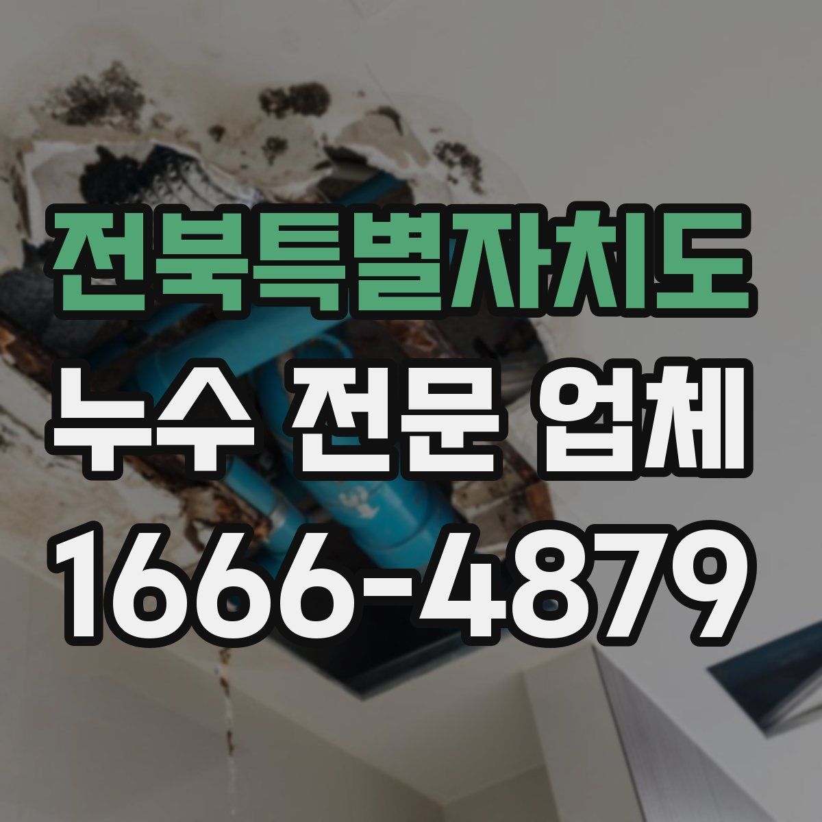 전북특별자치도 누수 전문 업체
