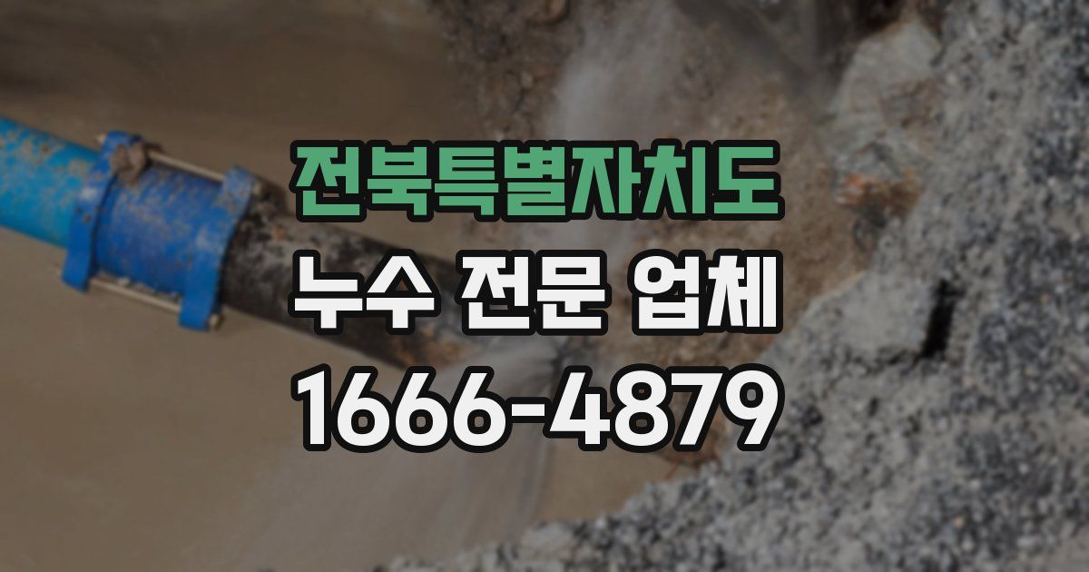 전북특별자치도 누수 전문 업체