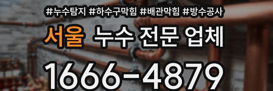 서울 누수 전문 업체