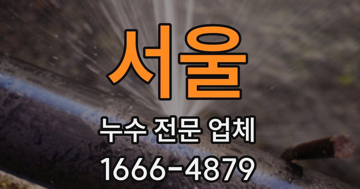 서울 누수 전문 업체