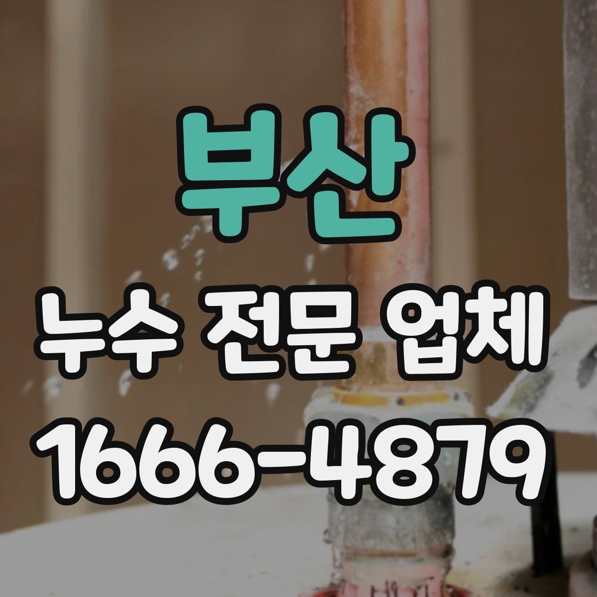 부산 누수 전문 업체