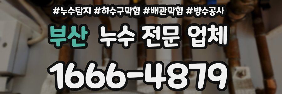 부산 누수 전문 업체