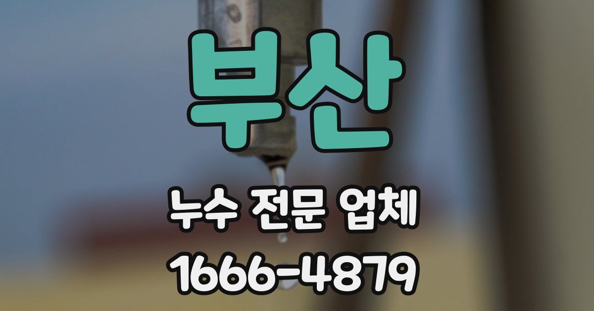 부산 누수 전문 업체