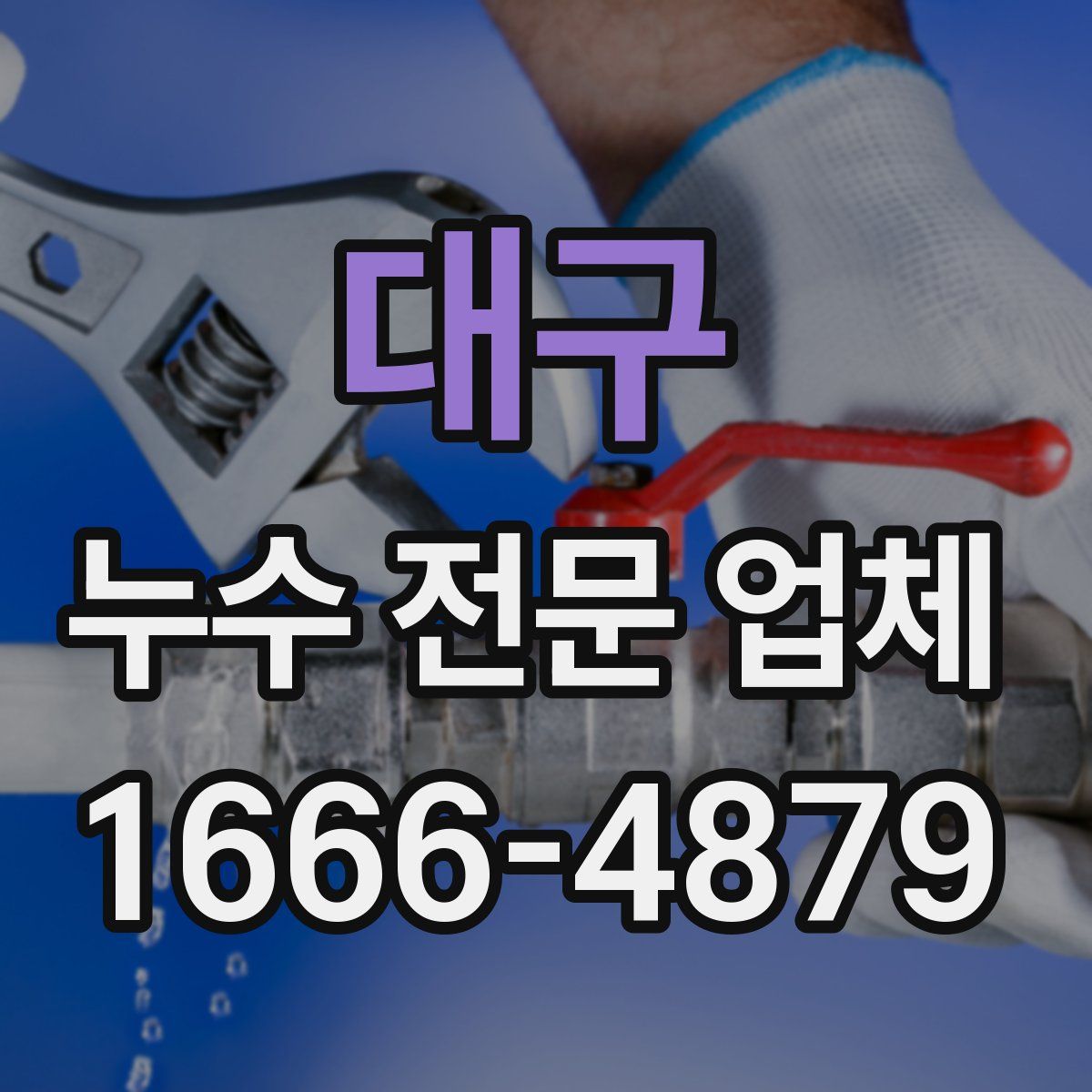 대구 누수 전문 업체